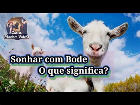 sonhar com bode ou cabra jogo do bicho - Sonhar com Cabra no Jogo do Bicho 